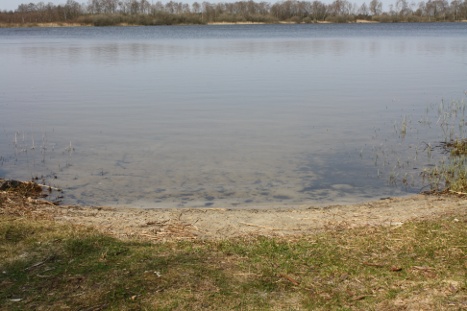 bornevenlig_sandbred_badestranden_skaersoe