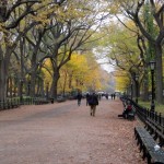 Central Park NY