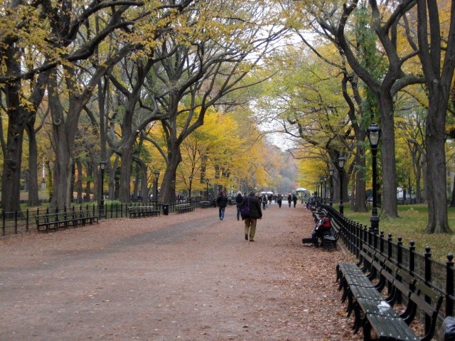 Central Park NY