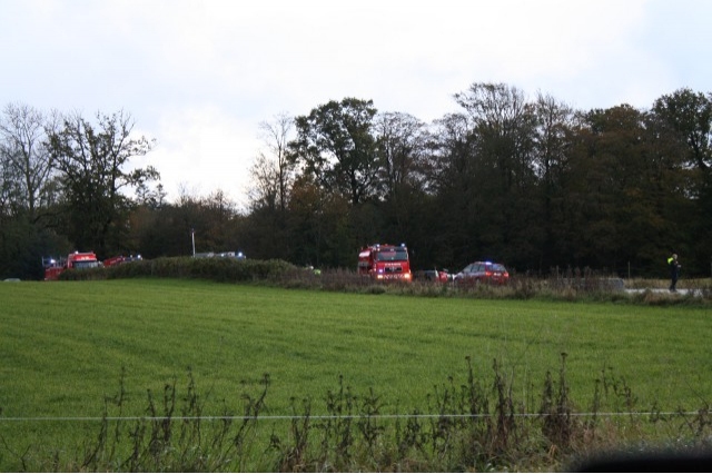 IMG_3792_sized_okt_2010_ravnholt